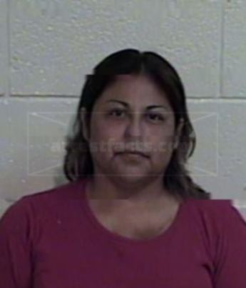 Rosa Elia Sanchez Elizondo