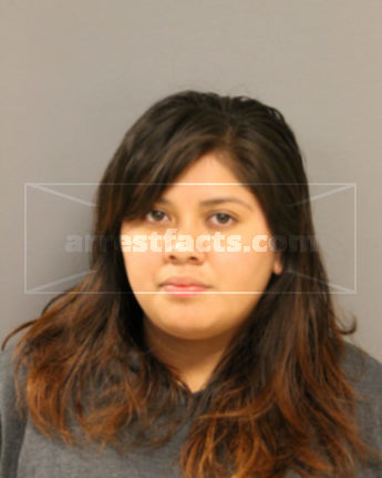 Alexis Michelle Longoria