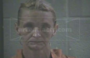 Mitzi Ann Hensley