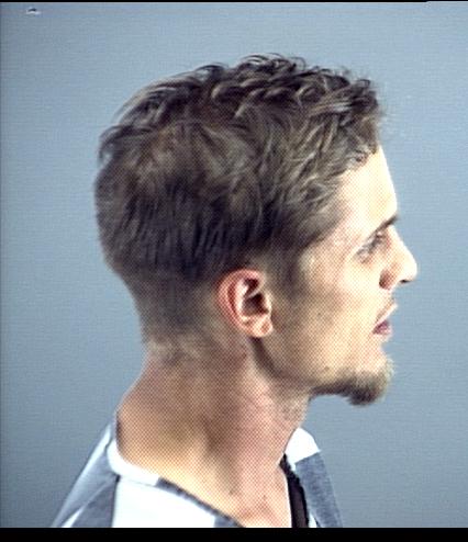 Michael Lloyd Collinsworth