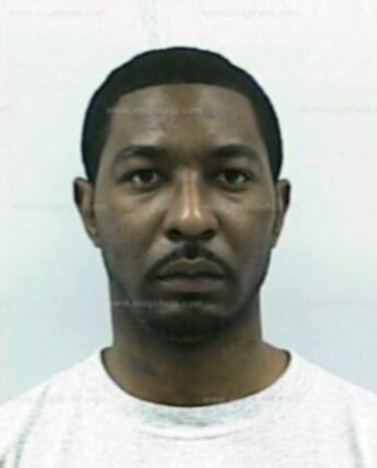 Stephen D Willis