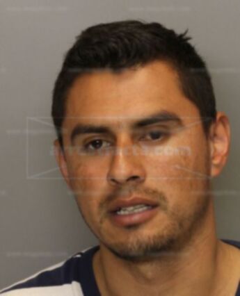 Mora Sergio Cruz