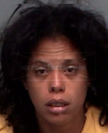 Pamela Ann Haskins