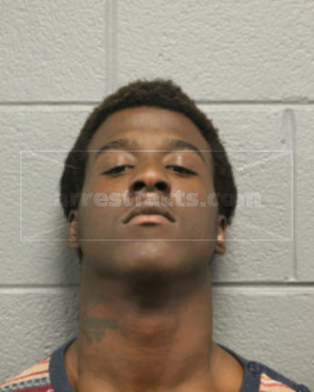 Michael C Steward