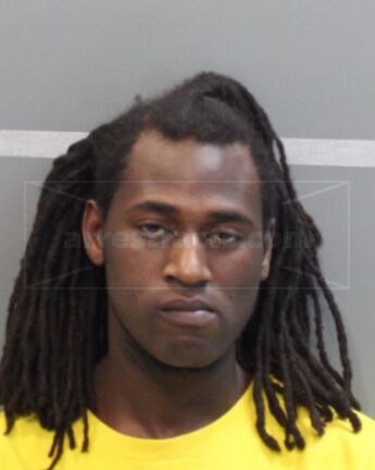 Lorenzo L Meadows