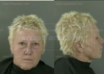 Carole Ann Little