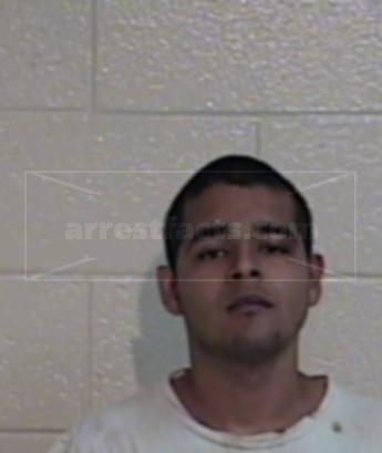 Mauricio Jr. Salinas Landeros