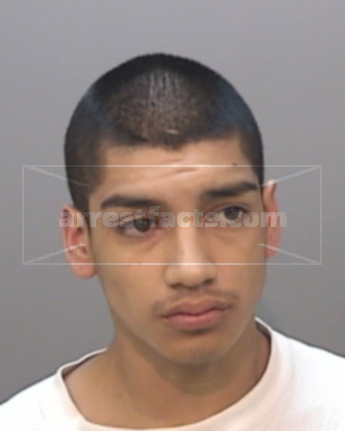 Joe Angel Flores