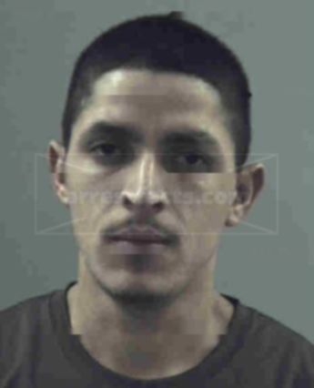 William Navarro- Acosta