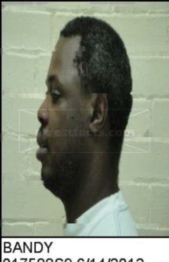 Anthony Lee Bandy