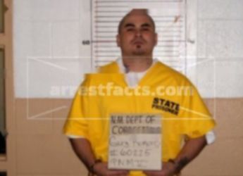 Gary A. Romero