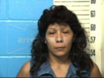 Cynthia Arrellan Fitzsimmons