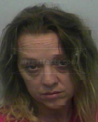 Mitzi Hill Law