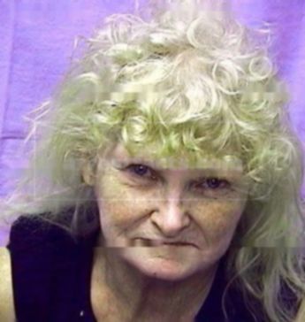 Nancy Carol Danner
