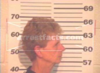 Janis Lee Perkins Howell