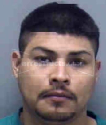 Mario Estrada Solis