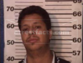 David Castellanos Vargas