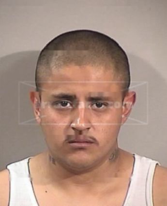 David Delgado