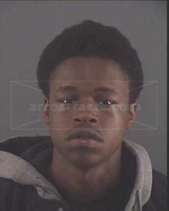 Quintarius T Beck