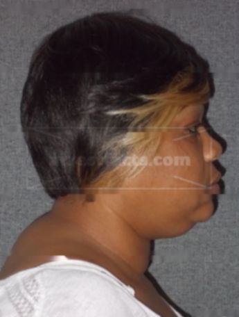 Tawania L Pillow