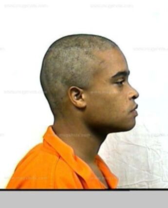Vincent E Brown