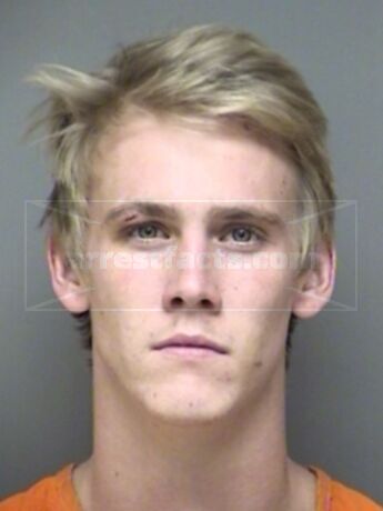 Logan Paul Carder