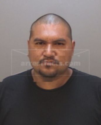 Roy Flores
