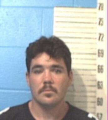 Michael Allan Williams