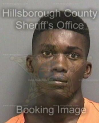 Deterrio Montraz Young