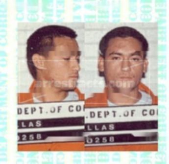 David P Dallas