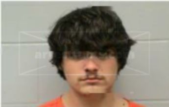 Wyatt L Lang