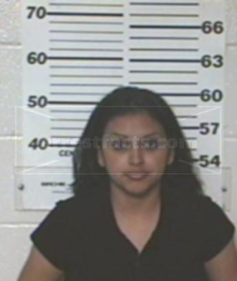 Minerva Flores Arjona