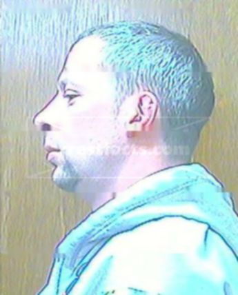 Terry J Robert