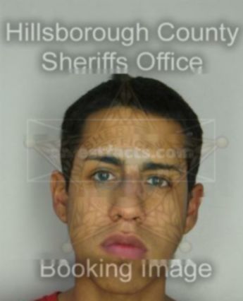 David Navarro Jr.