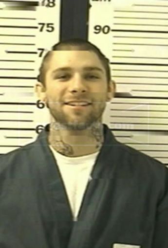 Ryan M Estel
