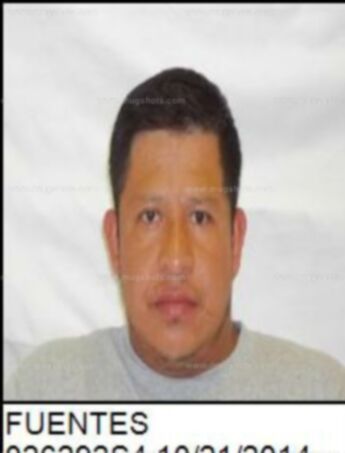 Mynor D Fuentes