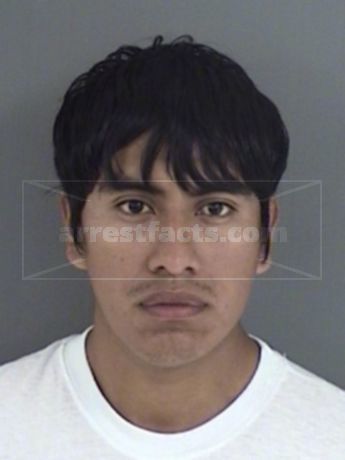Jose Martin Tellez