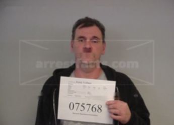 Randy R Vollmer