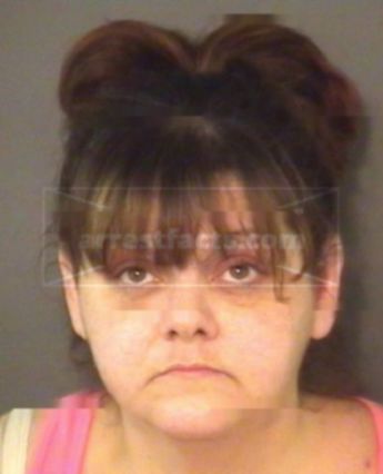 Robin Michelle Mcelveen