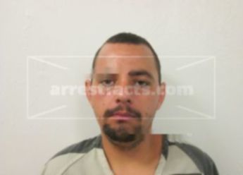 Seth Ryn Hamilton