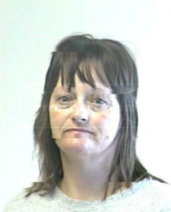 Cynthia D Evans