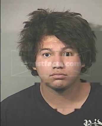 Bryan J Molina-Martinez