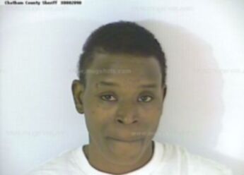 Chelsea Dale George