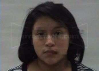 Anne Crystal Puente