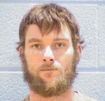 Christopher L. Walwer