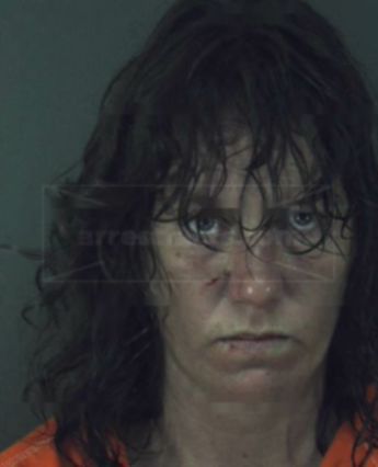 Terri Lynn Stueve