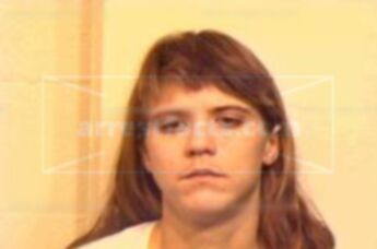 Lisa Gail Mulvaney
