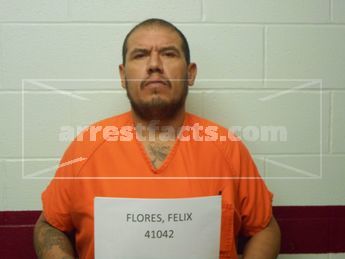 Felix Davila Flores