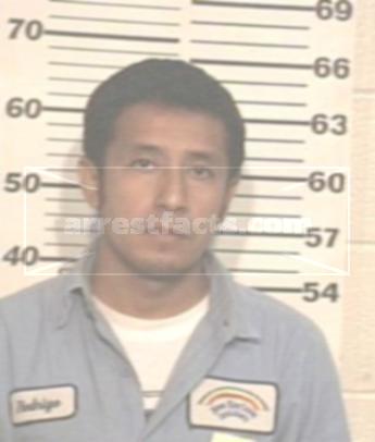 Rodrigo Culebro Hernandez