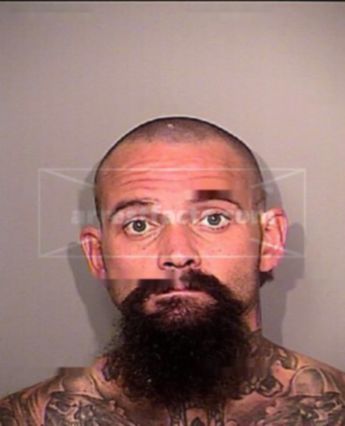 Sam Tyler Pine